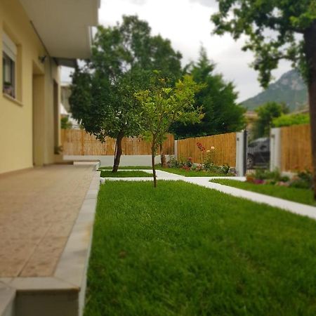 Apartamenty Rodzinne كامينا فورلا المظهر الخارجي الصورة