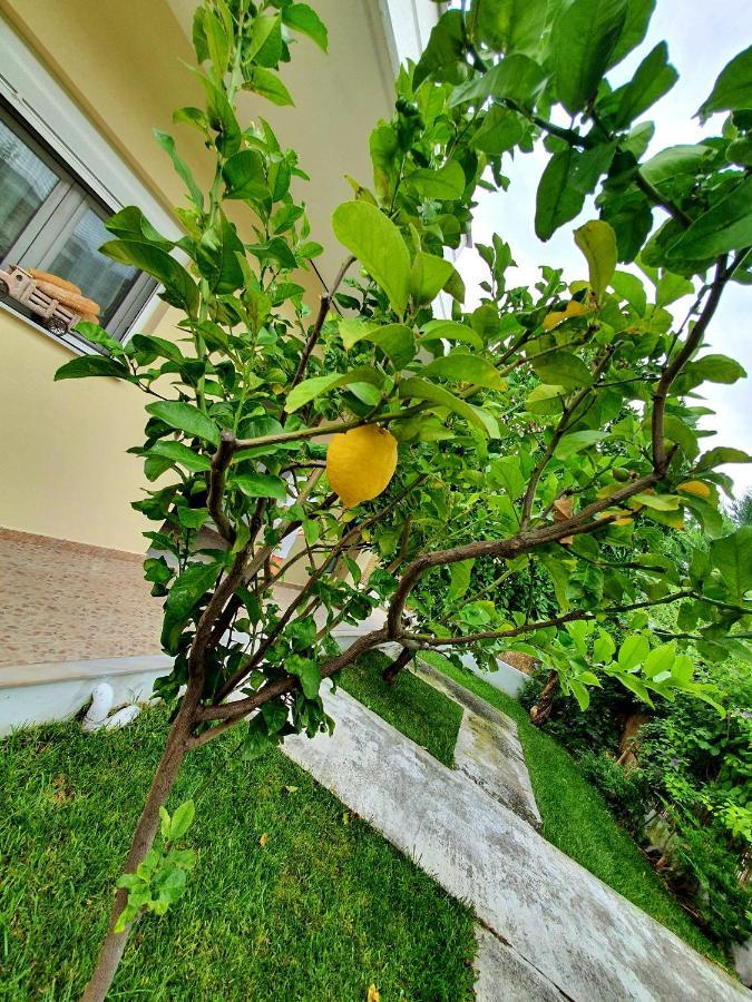 Apartamenty Rodzinne كامينا فورلا المظهر الخارجي الصورة