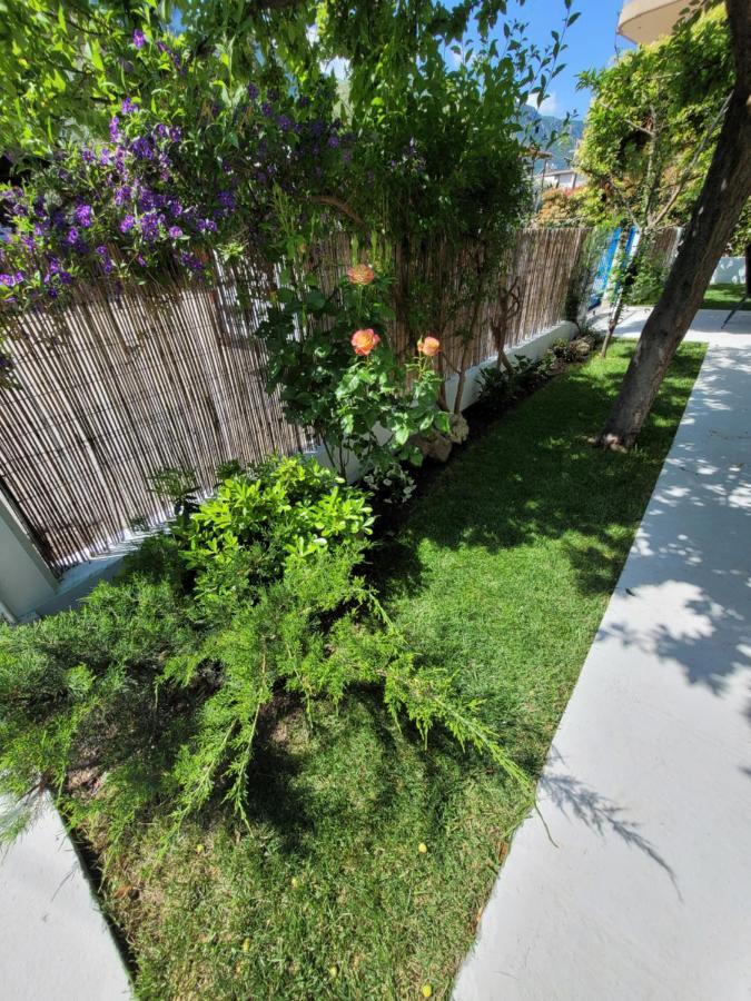 Apartamenty Rodzinne كامينا فورلا المظهر الخارجي الصورة